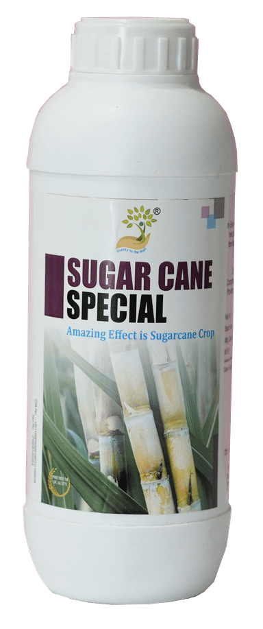 Sugarcane Special